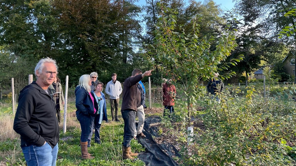 De Populariteit Van De Drentse Voedselbossen Provincie Drenthe