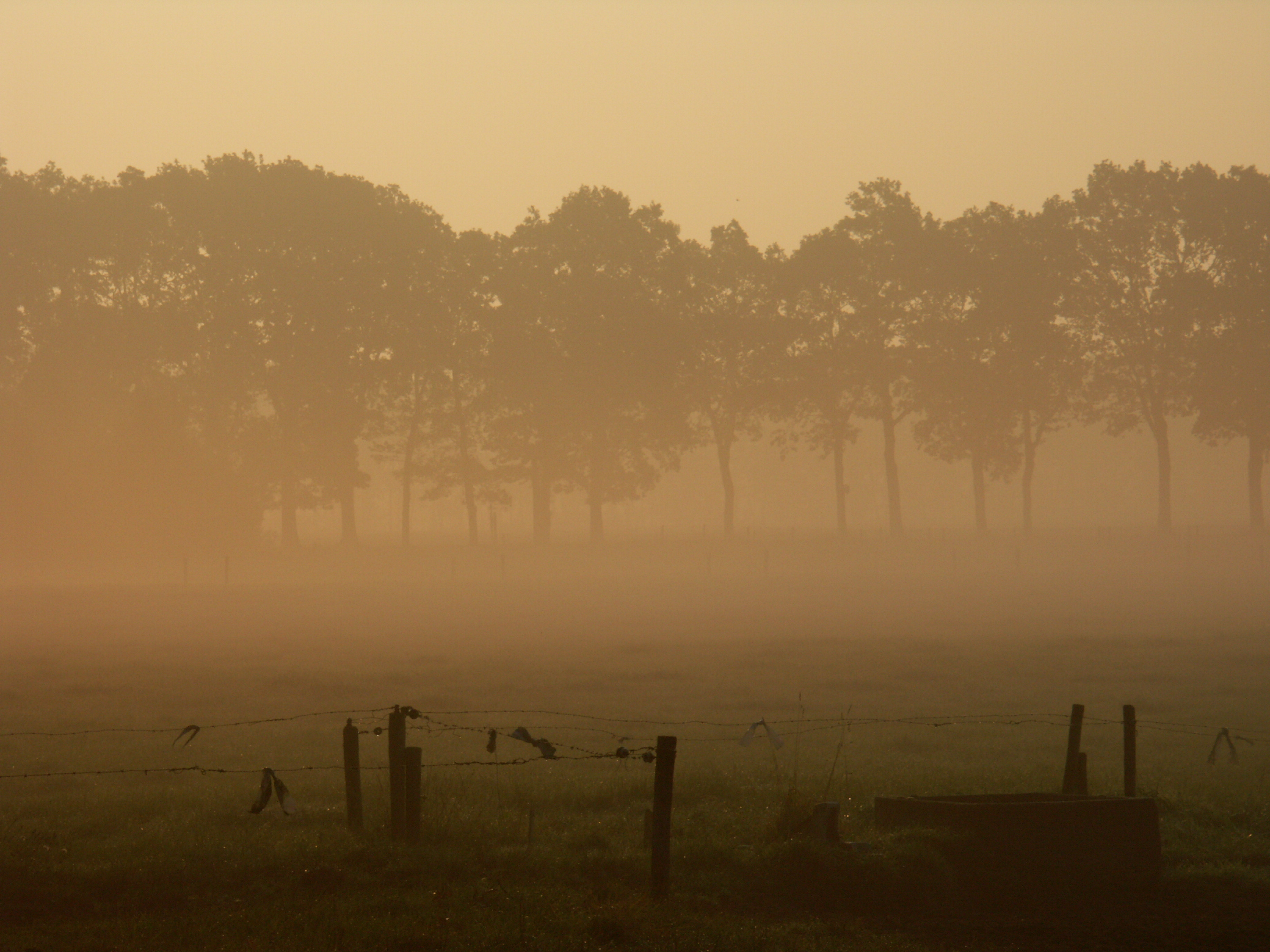 Oudemolen in de mist