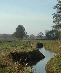 Uitvoering project Geelbroek