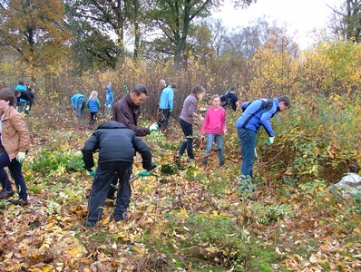 natuurwerkdag