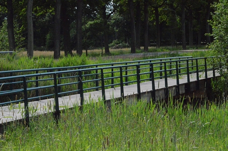 Loopbrug_Drentsche_Aa © Paardbart