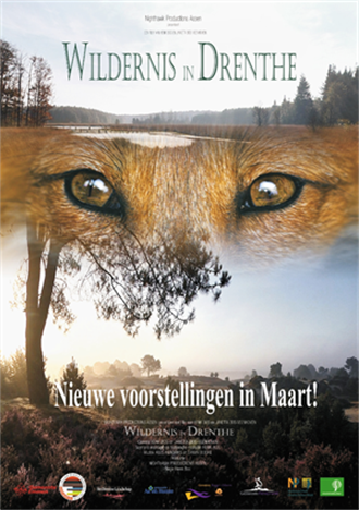 wildernis_in_drenthe