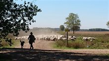 Foto gemaakt door P. de Ruiter