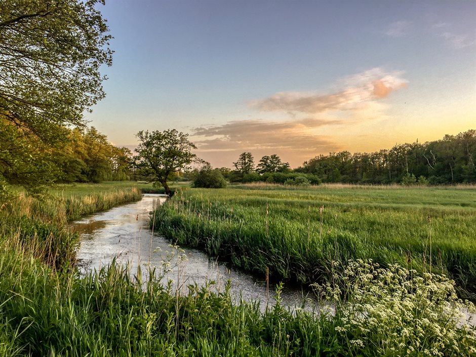 oudemolensche diep - © NP Drentsche Aa