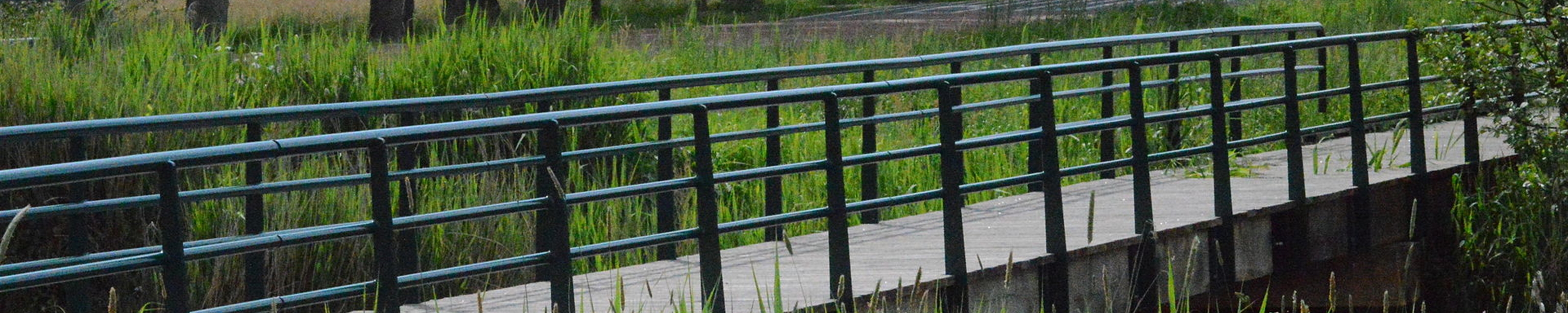 Loopbrug_Drentsche_Aa © Paardbart