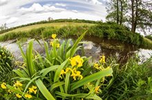 Drents_Landschap_Deurze © Geraldassen